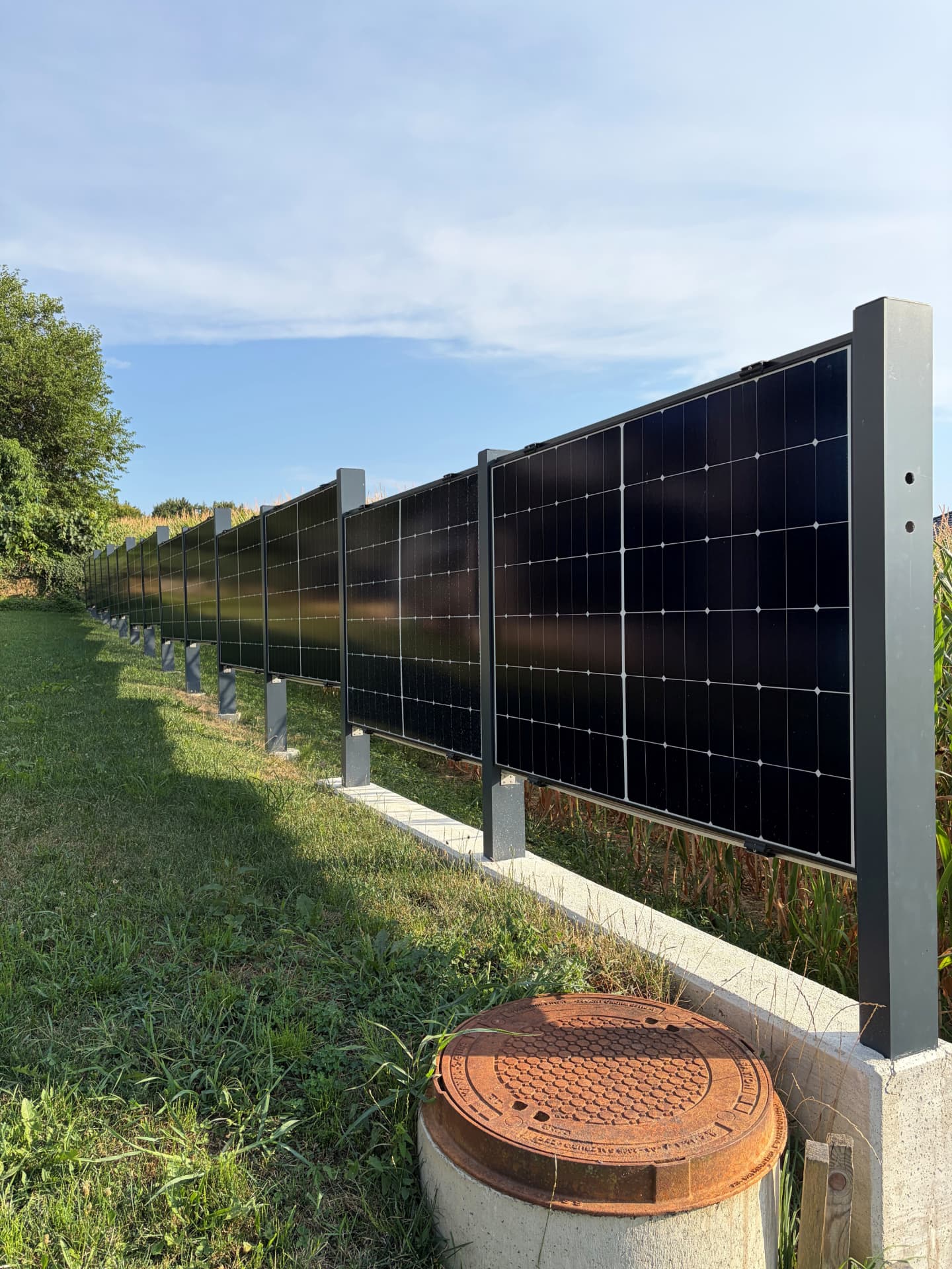 Reihe senkrecht montierter Photovoltaik-Module als Zaun entlang einer Wiese vor blauem Himmel